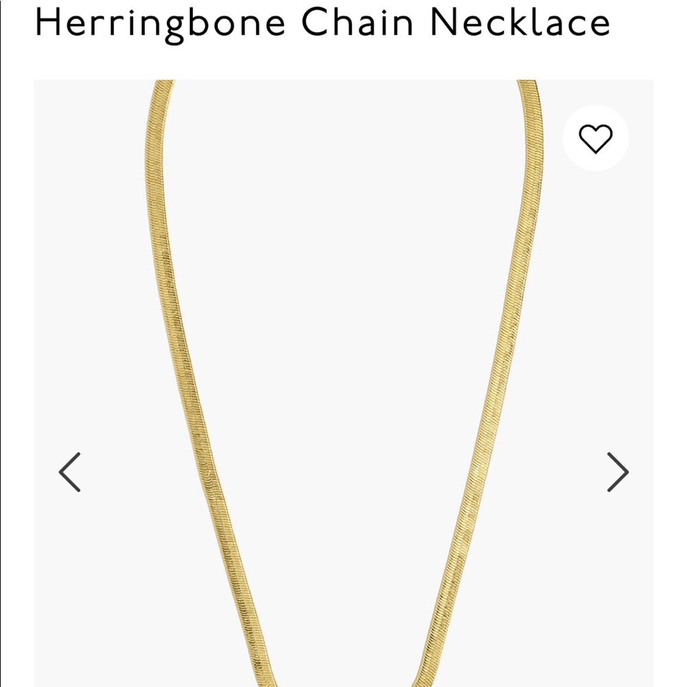 NWT Madewell Herringbone Gold Chain Necklace